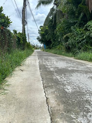 Bán rồi đất thổ cư Dương Xuân Hội-Châu Thành-Long An — ảnh 3