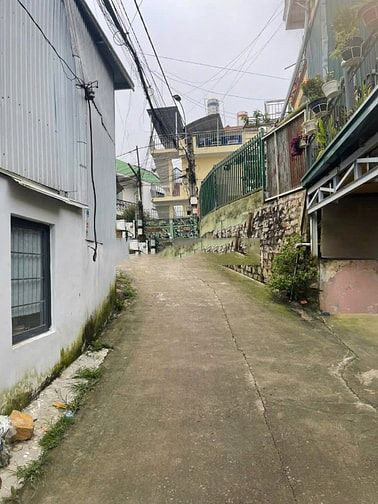 Bán mảnh đất tại Thông Thiên Học, Phường 2, TP Đà Lạt, Lâm Đồng — ảnh 2