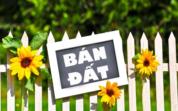 Cần bán đất tại đường 282, Xã An Bình, Thuận Thành, Bắc Ninh