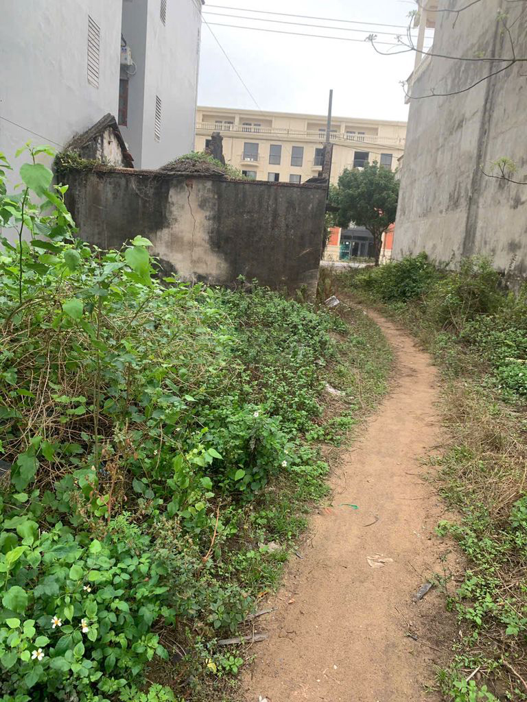 Bán đất 478, Lạc long quân, Phường Trà Cổ, Thành phố Móng Cái, Quảng Ninh — ảnh 2