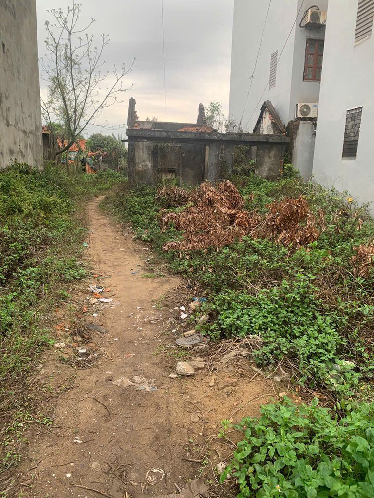 Bán đất 478, Lạc long quân, Phường Trà Cổ, Thành phố Móng Cái, Quảng Ninh — ảnh 3
