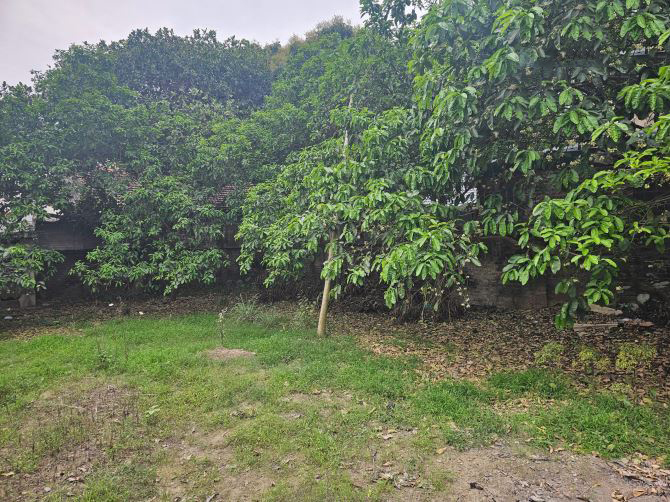 Bán đất trục vào khu Danh Thắng Tây Thiên, Tam Đảo, Vĩnh Phúc — ảnh 2