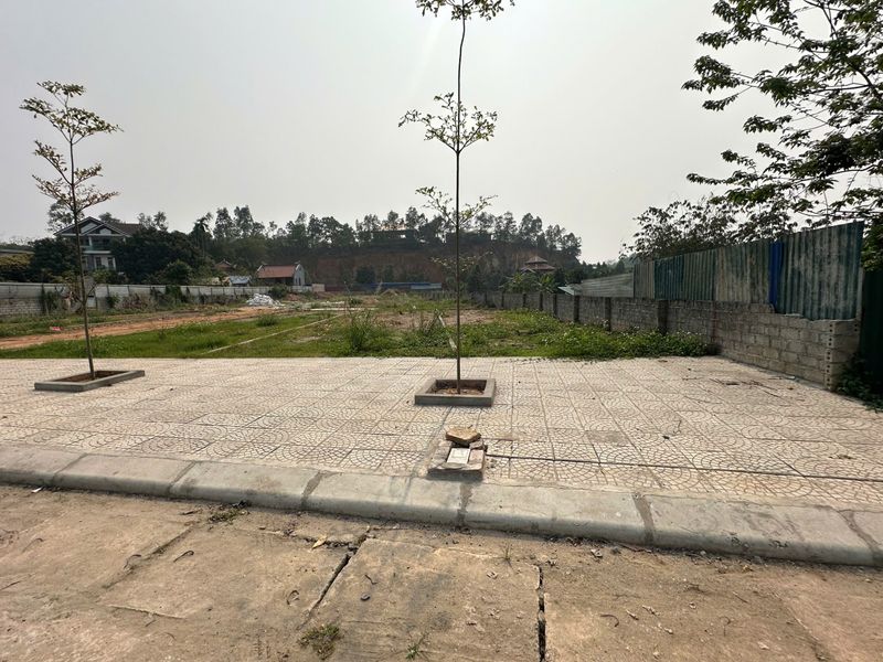 Bán đất đẹp tại Định Trung, Vĩnh Yên, Vĩnh Phúc — ảnh 4