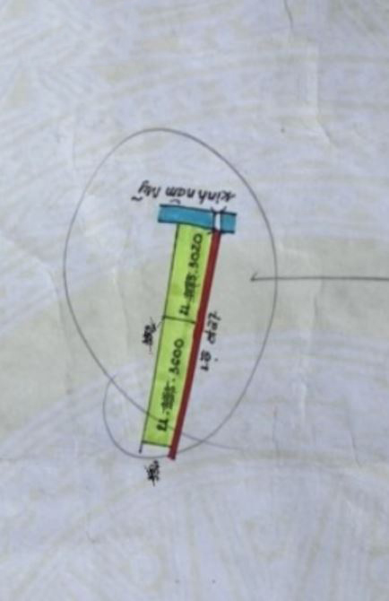Bán 10.000m2 (10công) Quốc lộ 54, Xã Thành Đông, Huyện Bình Tân, Vĩnh Long