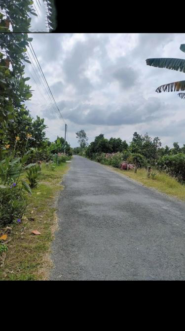 Bán 10.000m2 (10công) Quốc lộ 54, Xã Thành Đông, Huyện Bình Tân, Vĩnh Long — ảnh 5