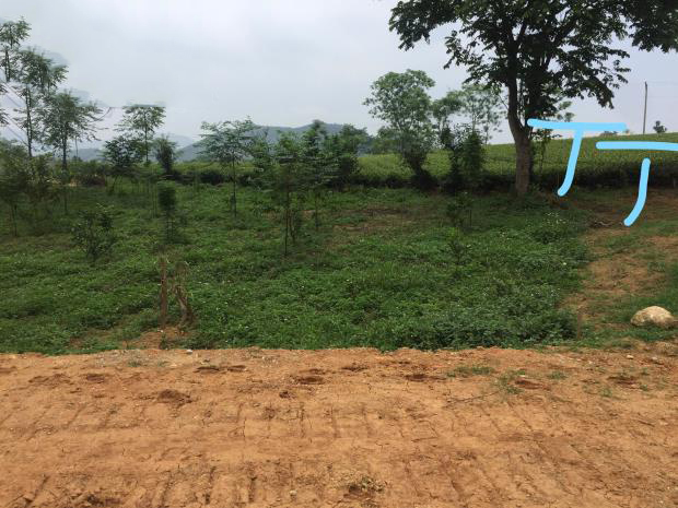 Bán đất 28 Đường Quốc lộ 37, Xã Phú Lâm, Huyện Yên Sơn, Tuyên Quang — ảnh 3