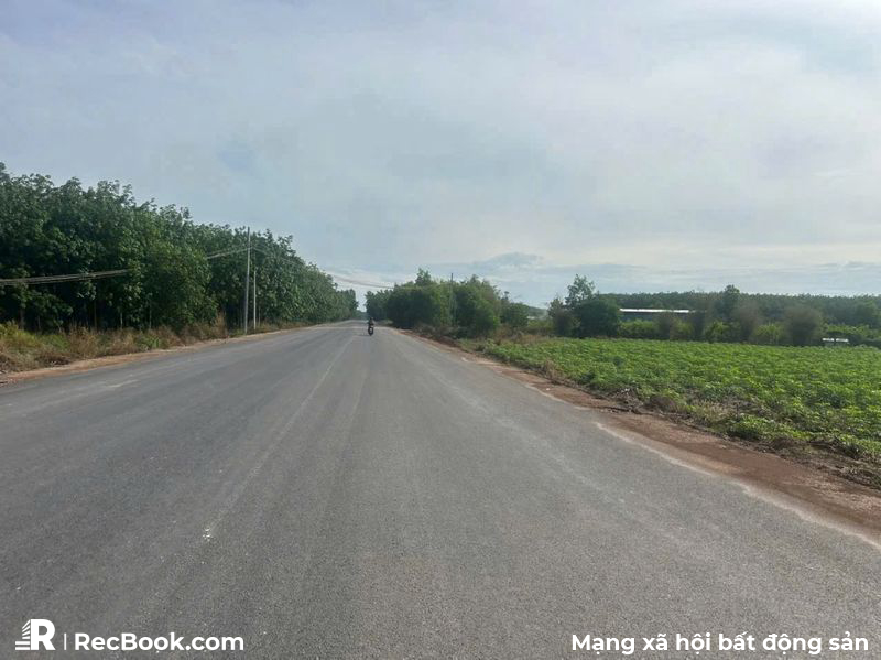 Bán đất bình dương