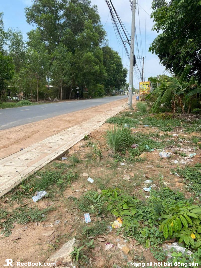 Bán đất bình dương — ảnh 2