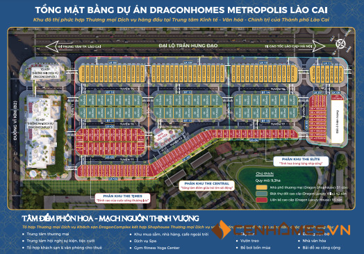 DRAGONHOMES METROPOLIS LÀO CAI — Mặt bằng dự án — ảnh 1