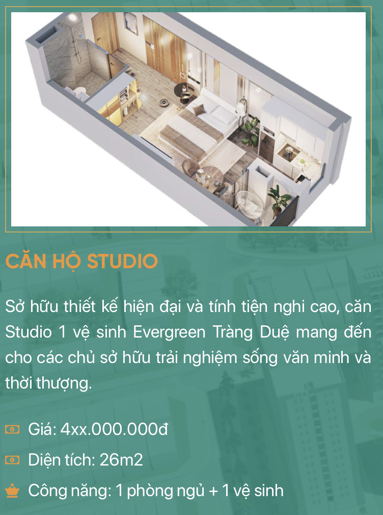 Nhà ở xã hội EverGreen Tràng Duệ — Mẫu thiết kế căn hộ điển hình — ảnh 1