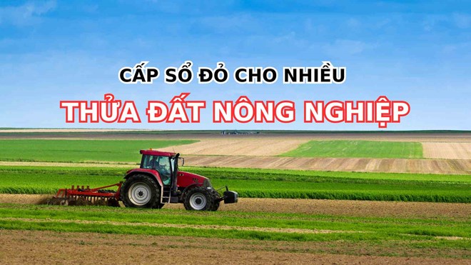 Cấp 1 sổ đỏ cho nhiều thửa đất nông nghiệp được không?