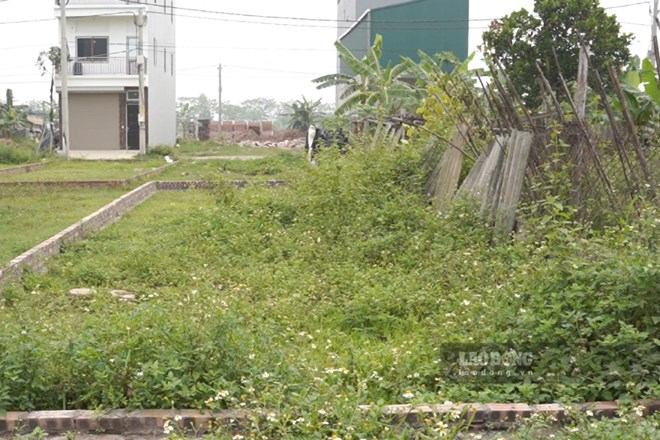Chỉ tiêu thống kê kiểm kê đất đai đối với các loại đất