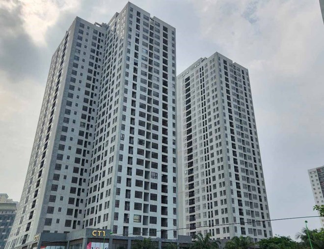 Tai-Dinh-Cu.jpg