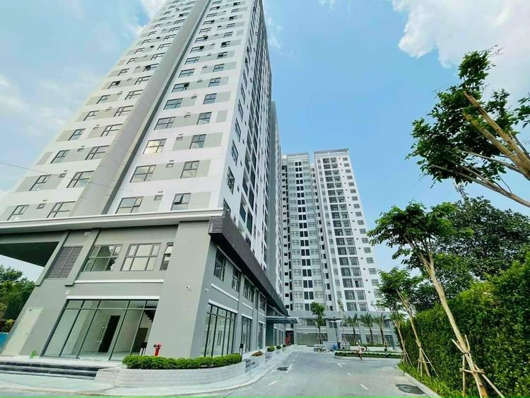 Bất Động Sản Bình Dương: Điểm Sáng Nổi Bật Của Thị Trường Phía Nam