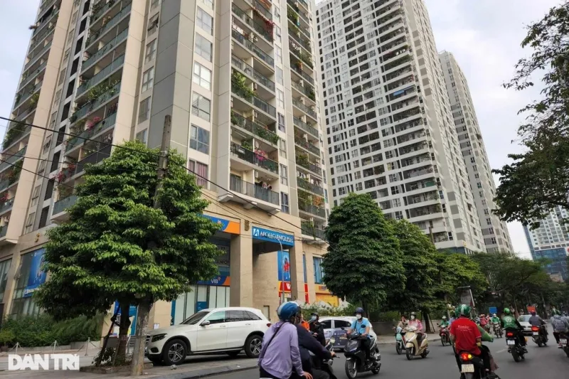 Nếu bạn không có đủ điều kiện để thay thế toàn bộ hệ thống ánh sáng phòng ngủ thì có thể thay đổi bằng bổ sung đèn rời, đèn cây, đèn bàn, đèn hắt vào tường.  Ánh sáng từ những loại đèn này sẽ tạo ra hiệu ứng ấm áp, thư giãn hơn cho phòng ngủ. Đèn ngủ có thể đặt ở hai bên đầu giường. Các loại đèn hắt nên đặt trên kệ tường, kệ tủ. Bạn hãy thử phối hợp chúng ngẫu nhiên theo độ cao khác nhau sẽ tạo nên các lớp ánh sáng thú vị.  Tạo điểm nhấn  Để tạo điểm nhấn cho phòng ngủ, bạn có thể thay đổi tranh treo tường hoặc thảm trải sàn. Tranh lớn sẽ giúp căn phòng trở nên ấn tượng hơn. Thảm không chỉ làm tăng tính thẩm mỹ, mà còn mang lại cảm giác ấm áp, dễ chịu khi bạn bước xuống giường.  Mang cây xanh vào phòng ngủ  Cây xanh không chỉ làm đẹp không gian, mà còn có tác dụng thanh lọc không khí, mang lại cảm giác thư thái, gần gũi với thiên nhiên. Bạn có thể chọn những loại cây dễ chăm sóc như trầu bà, lưỡi hổ, cây đa búp đỏ hay bàng Singapore. Nếu không có thời gian chăm sóc cây thật, bạn có thể sử dụng cây giả.  Mua thêm đồ nội thất mới  Đôi khi, chỉ cần thay đổi một vài món đồ nội thất nhỏ cũng có thể mang lại diện mạo mới cho phòng ngủ. Ví dụ bạn có thể mua thêm đèn trang trí, nến thơm. Đây là những vật dụng dễ đầu tư nhưng có tác động lớn đến diện mạo phòng ngủ