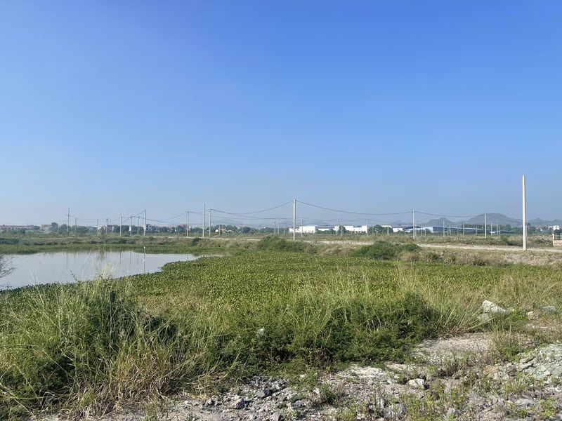 Ninh Bình mở đấu giá hơn 100 lô đất: Cơ hội đầu tư với giá từ 4,8 triệu đồng/m²