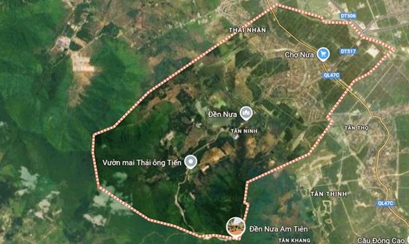 Chuyển đổi 44 ha rừng để thực hiện dự án tâm linh 35.000 tỉ đồng, có tượng Phật cao nhất thế giới
